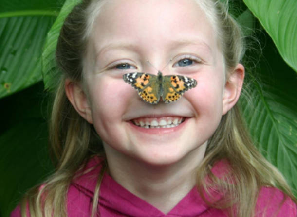 A young zoologist studies her butterfly