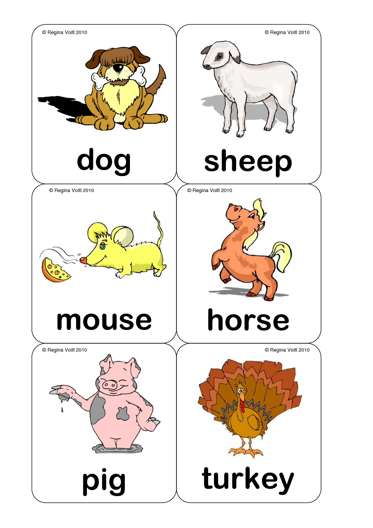 animals